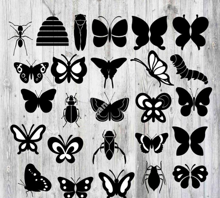 file vector hình con bướm trang trí